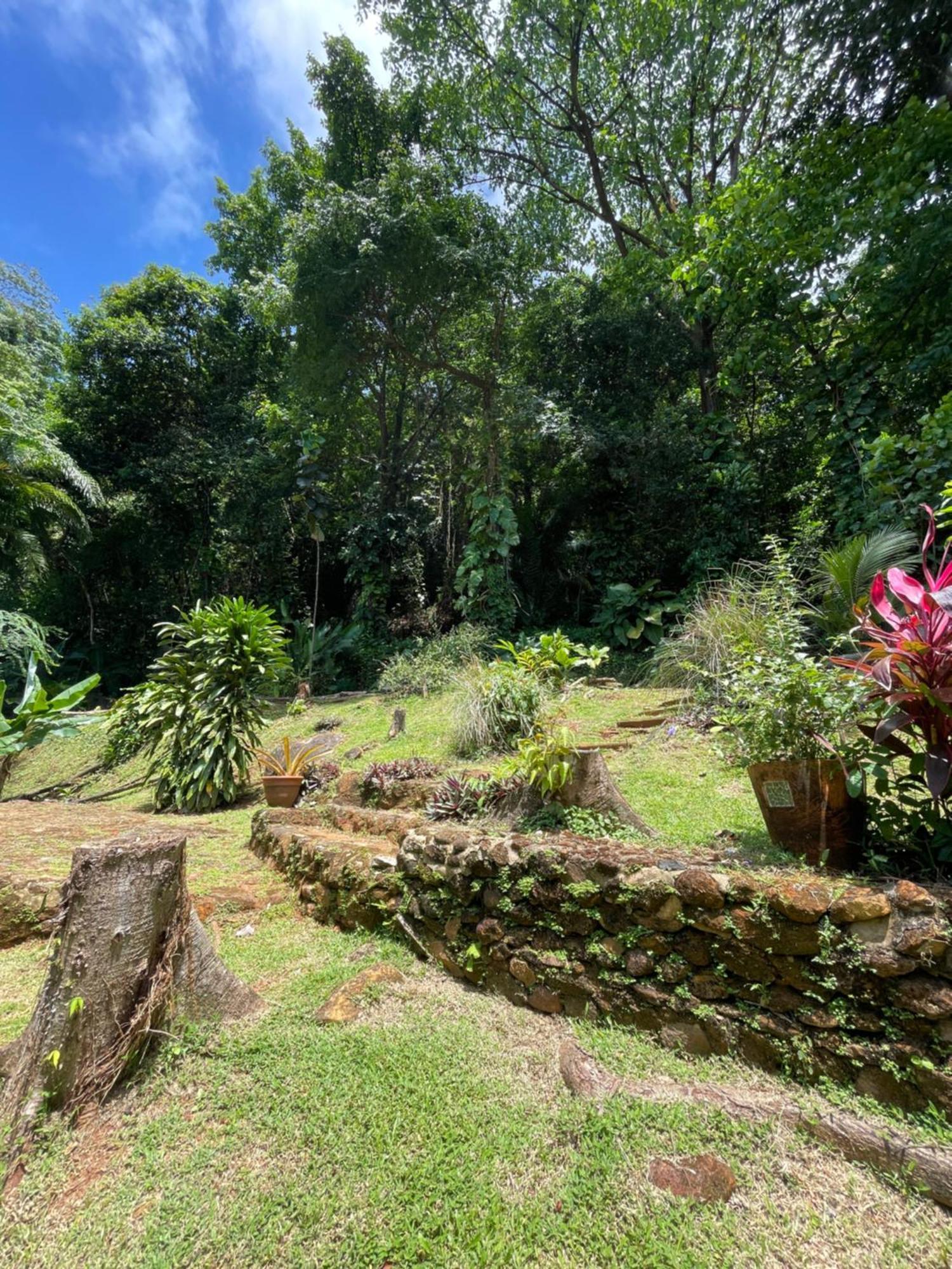 Apartamento Ti Kaz Dan Bwa Cayenne Exterior foto
